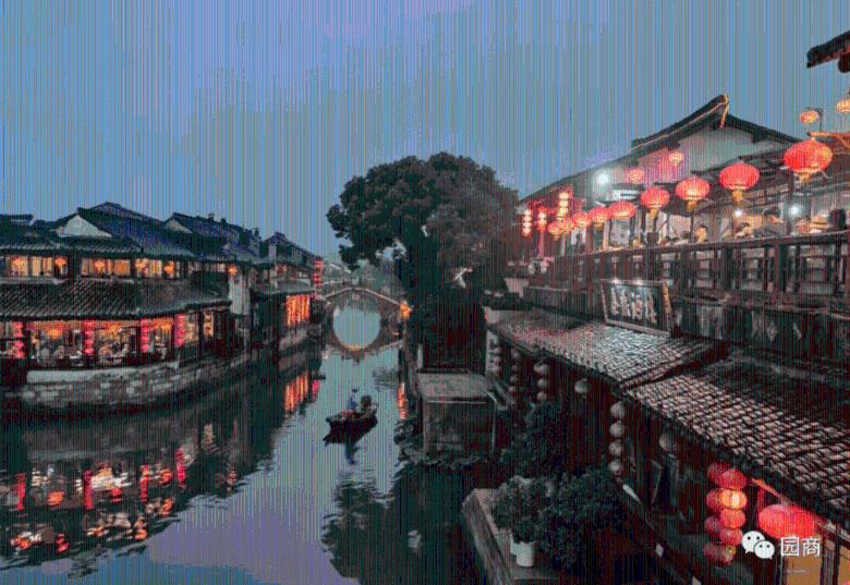救援可爱的洋葱